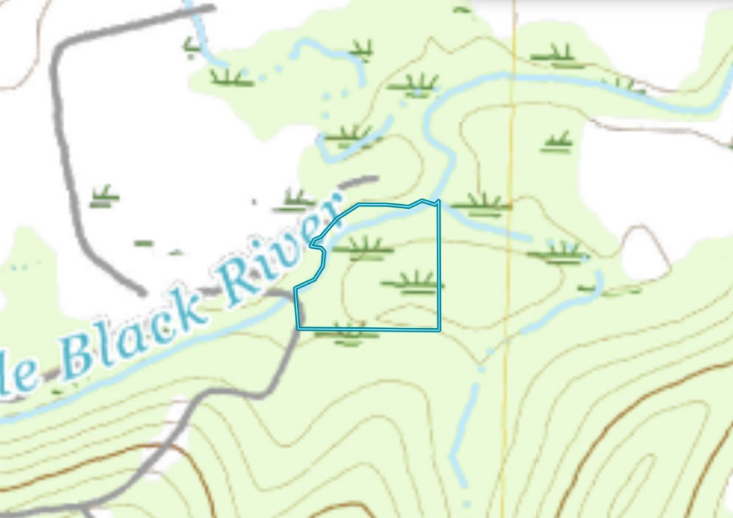 5 Acres, Butler County MO, Parcel 109-15-07-35-0-000-000-002-000 5 Acres, Butler, Missouri 15-07-35.0-000-000-002.000 - Image 12