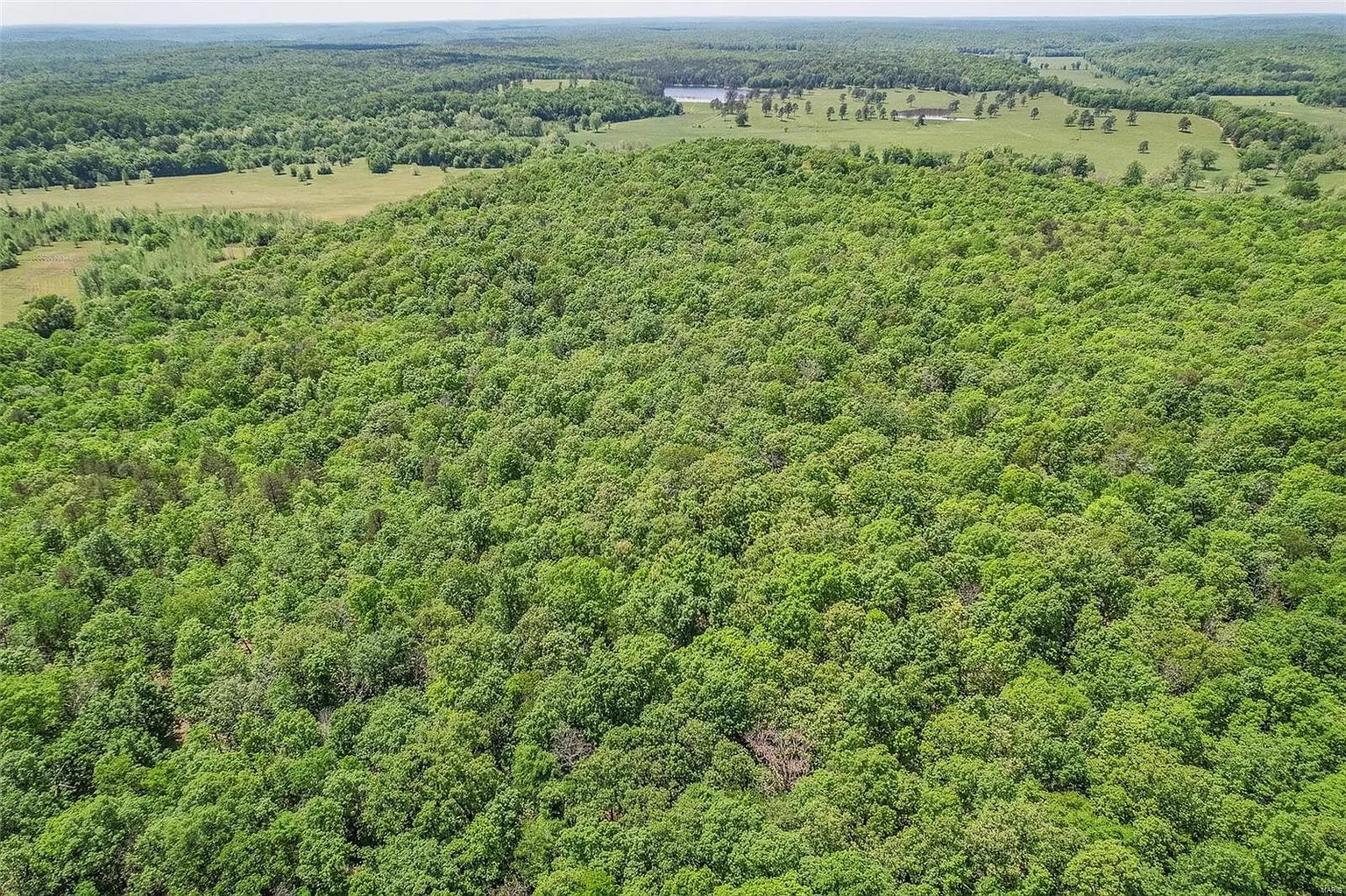 5 Acres, Butler County MO, Parcel 109-15-07-35-0-000-000-002-000 5 Acres, Butler, Missouri 15-07-35.0-000-000-002.000 - Image 4