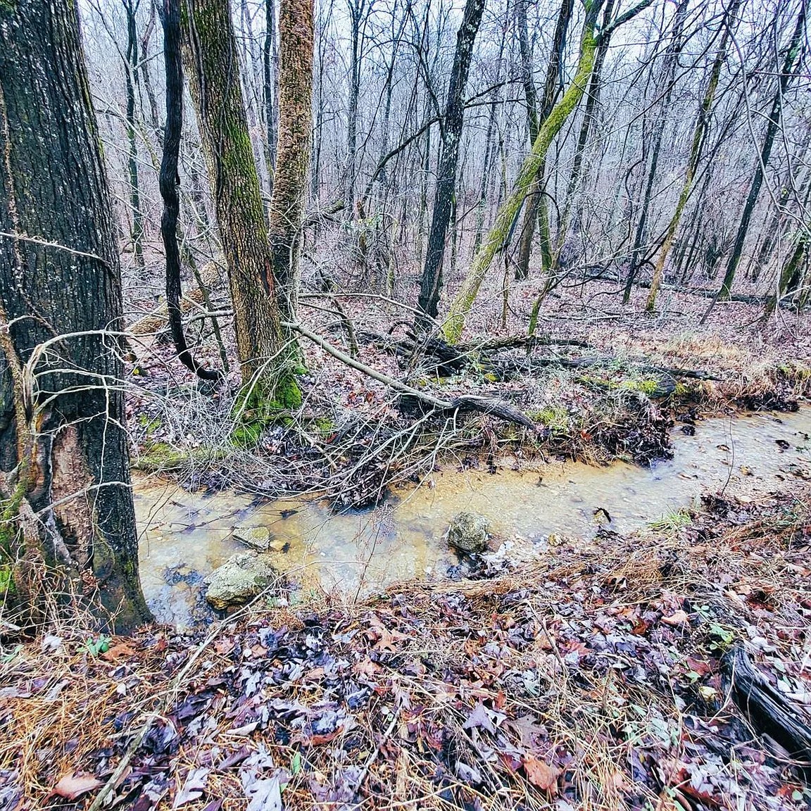 5 Acres, Butler County MO, Parcel 109-15-07-35-0-000-000-002-000 5 Acres, Butler, Missouri 15-07-35.0-000-000-002.000 - Image 6