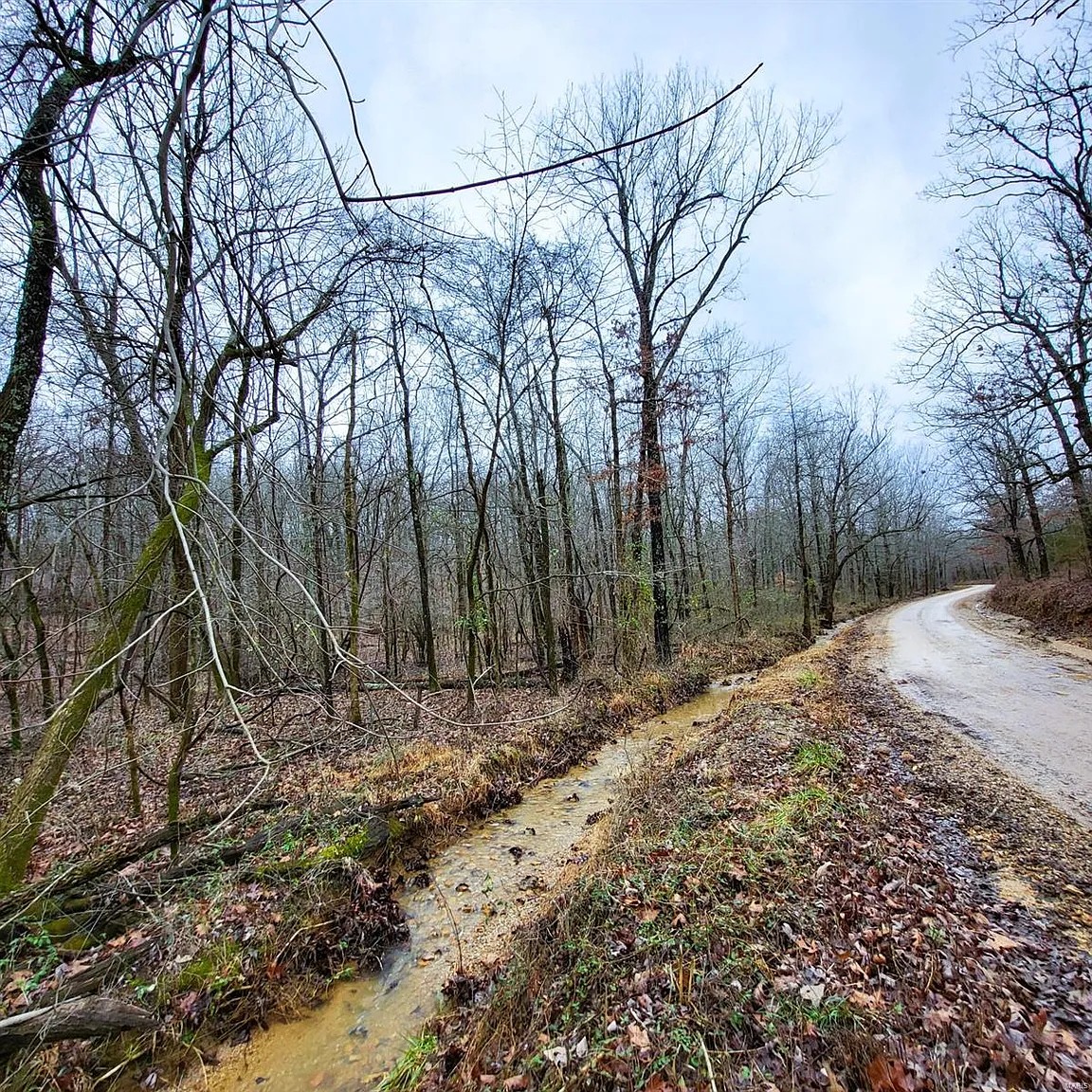 5 Acres, Butler County MO, Parcel 109-15-07-35-0-000-000-002-000 5 Acres, Butler, Missouri 15-07-35.0-000-000-002.000 - Image 8
