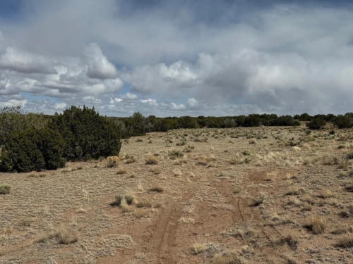 36.69 Acres, Apache County AZ, Spacious Desert Retreat, Parcel 204-59-213