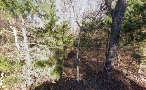 3.53 Acres, Benton County MO/ 5 Stocked Fishing Ponds/ Parcel 15-7.1-26-000-003-045.000