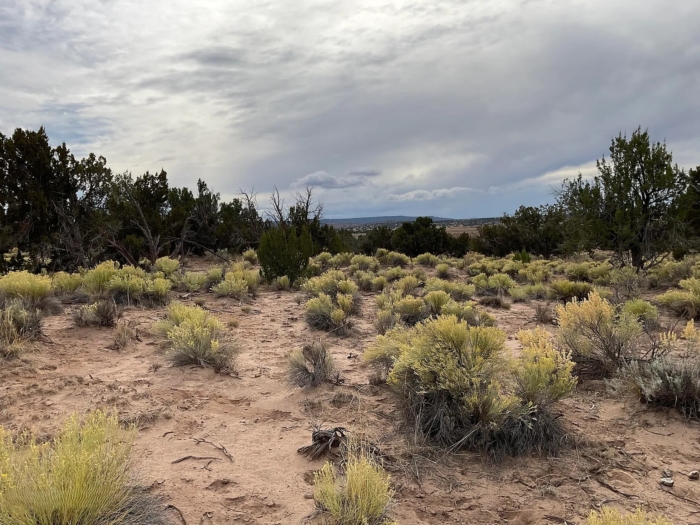 Expansive Off-Grid Freedom