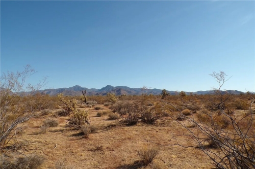 39.96 Acres, Mohave County AZ, Perfect Desert Retreat, Parcel 122-38-013