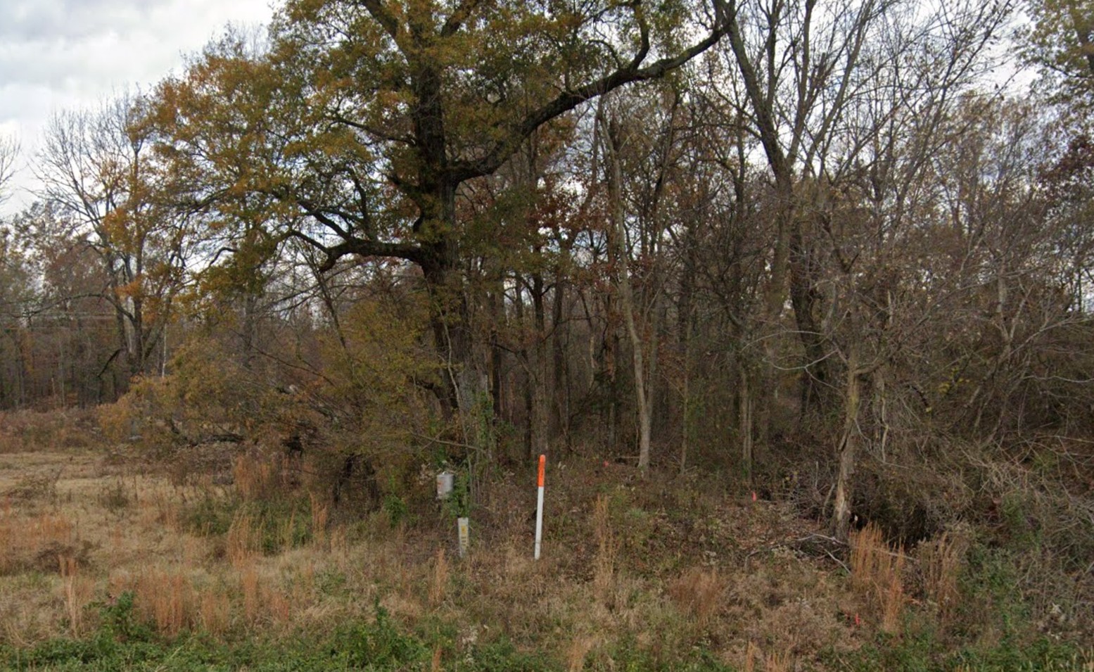 16.16 Acres, Butler County MO, Parcel 109-17-05-16-0-000-000-015-000 16.16 Acres, Butler, Missouri 109-17-05-16-0-000-000-015-000 - Image 2