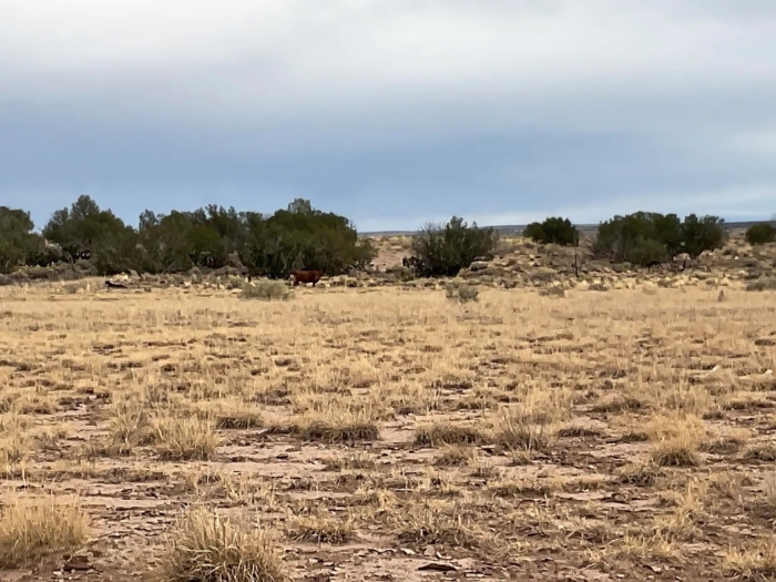 Expansive Off-Grid Freedom - Image 2