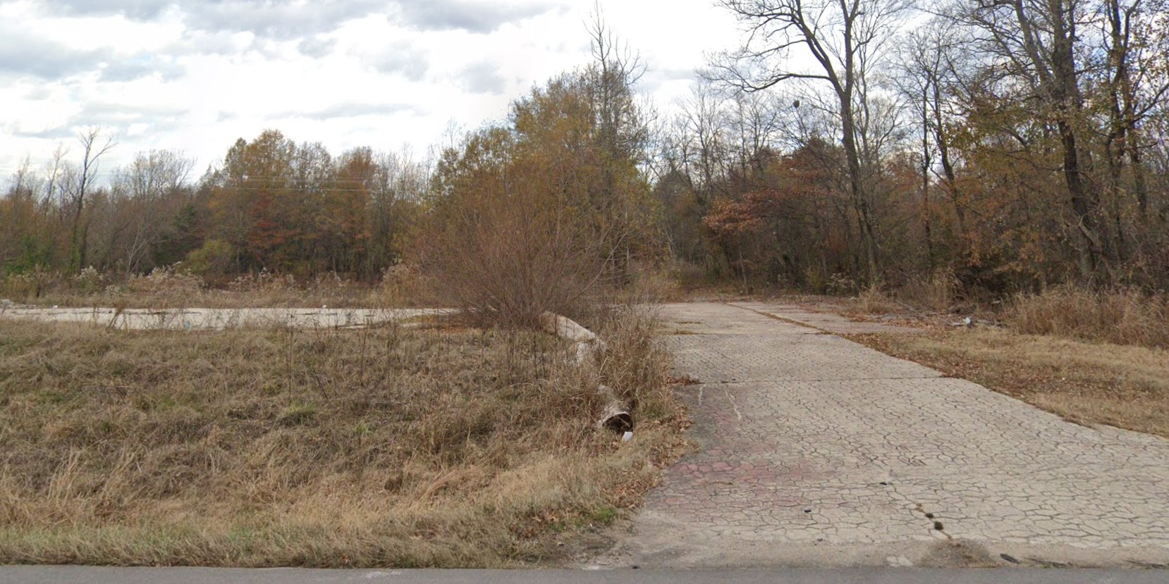 16.16 Acres, Butler County MO, Parcel 109-17-05-16-0-000-000-015-000 16.16 Acres, Butler, Missouri 109-17-05-16-0-000-000-015-000 - Image 3