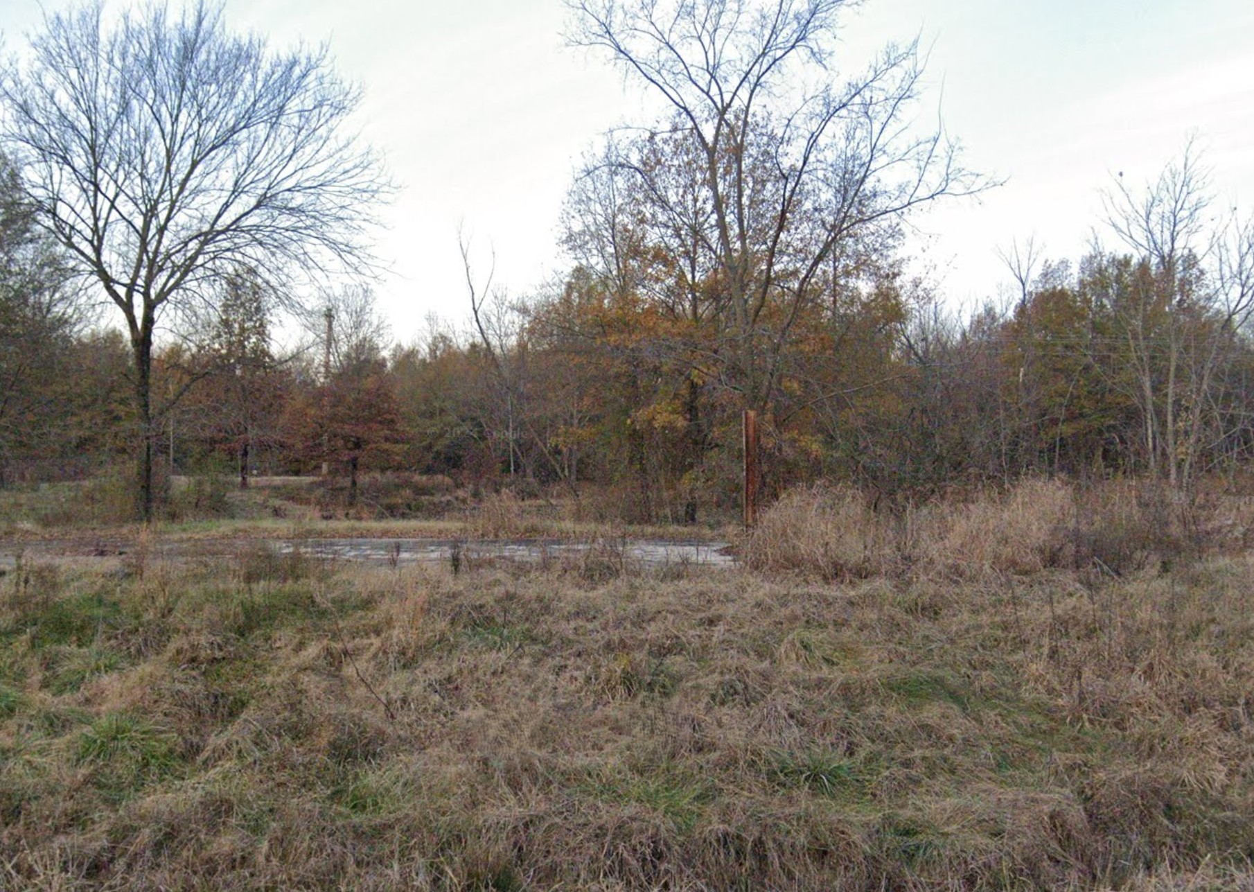 16.16 Acres, Butler County MO, Parcel 109-17-05-16-0-000-000-015-000 16.16 Acres, Butler, Missouri 109-17-05-16-0-000-000-015-000 - Image 5