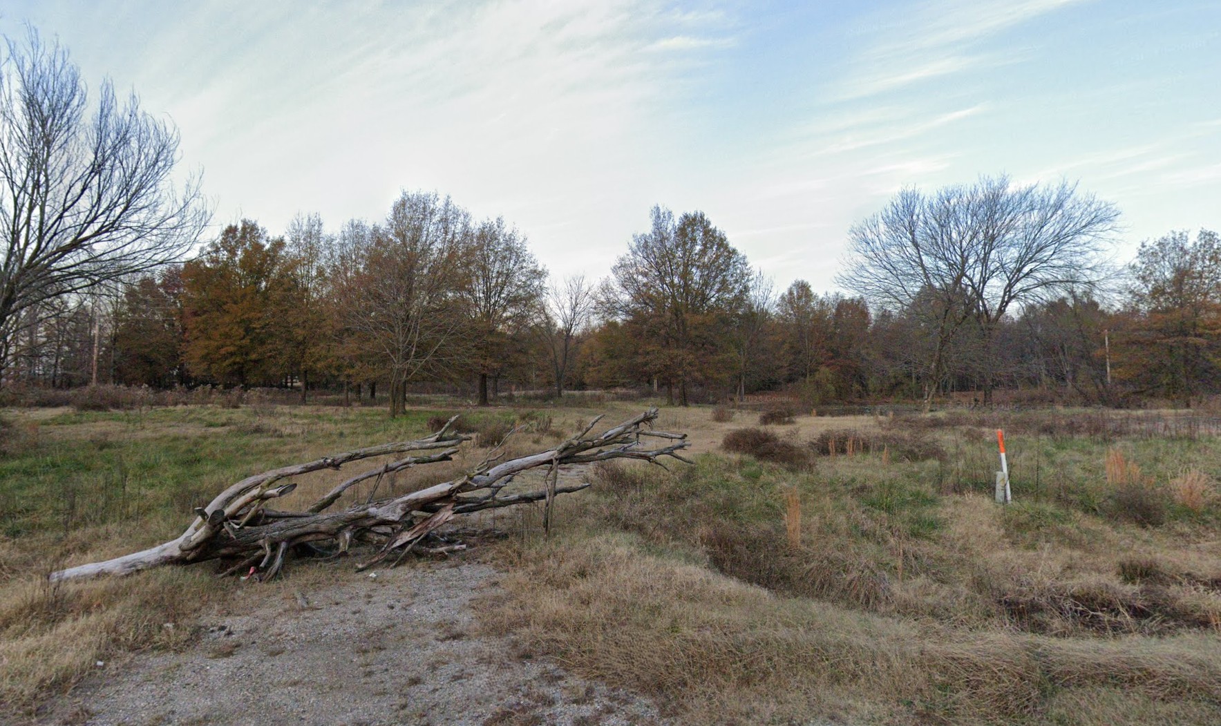 16.16 Acres, Butler County MO, Parcel 109-17-05-16-0-000-000-015-000 16.16 Acres, Butler, Missouri 109-17-05-16-0-000-000-015-000 - Image 4