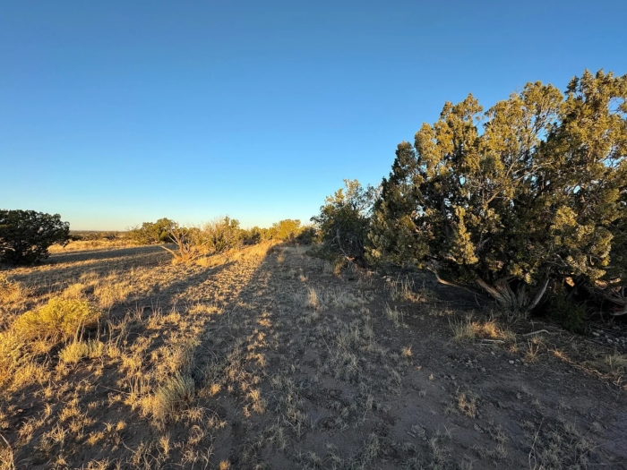 Expansive Off-Grid Freedom - Image 5