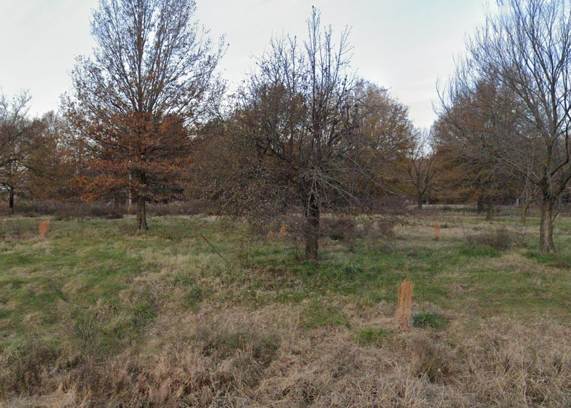 16.16 Acres, Butler County MO, Parcel 109-17-05-16-0-000-000-015-000 16.16 Acres, Butler, Missouri 109-17-05-16-0-000-000-015-000 - Image 6