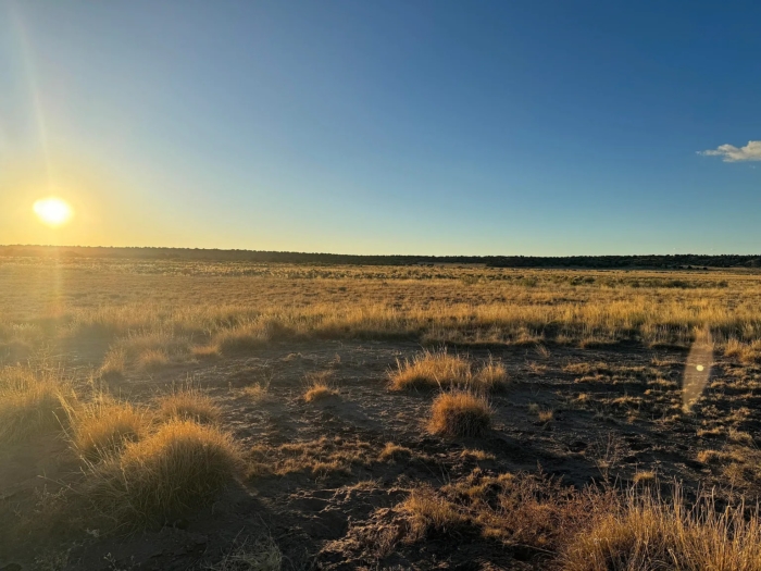 Expansive Off-Grid Freedom - Image 7