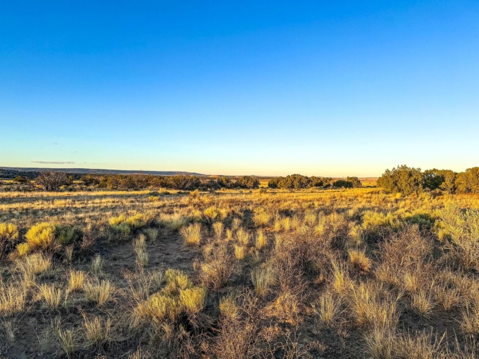 Expansive Off-Grid Freedom - Image 9