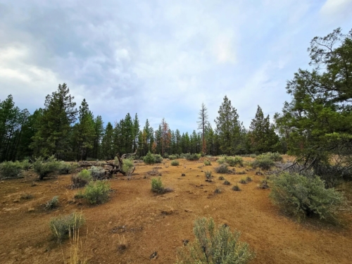 2.42 Acres, Klamath County OR, Peaceful Oregon Escape, Parcel R270370