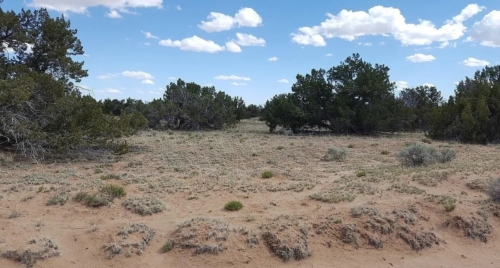 19.72 Acres, Apache County AZ, Peaceful High Desert Getaway, Parcel 205-60-006B