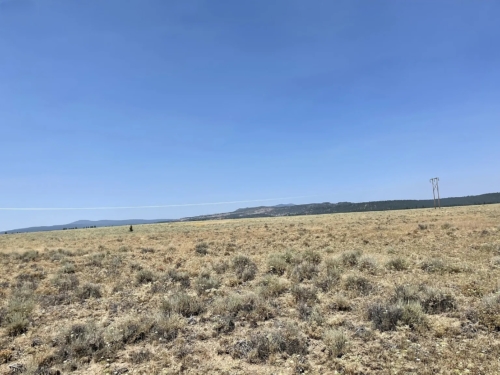 2.5 Acre Lot in Klamath County, Your Oregon Retreat Awaits, Parcel R343523