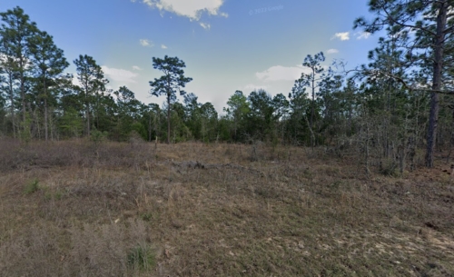 1.03 Acres, Putnam County FL,  Easy Access, Buildable, Parcel 12-10-23-4185-1680-0010