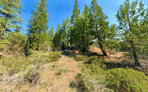 2.31 Acres, Klamath County OR, Peaceful Country Living Near Beatty, Parcel R388128