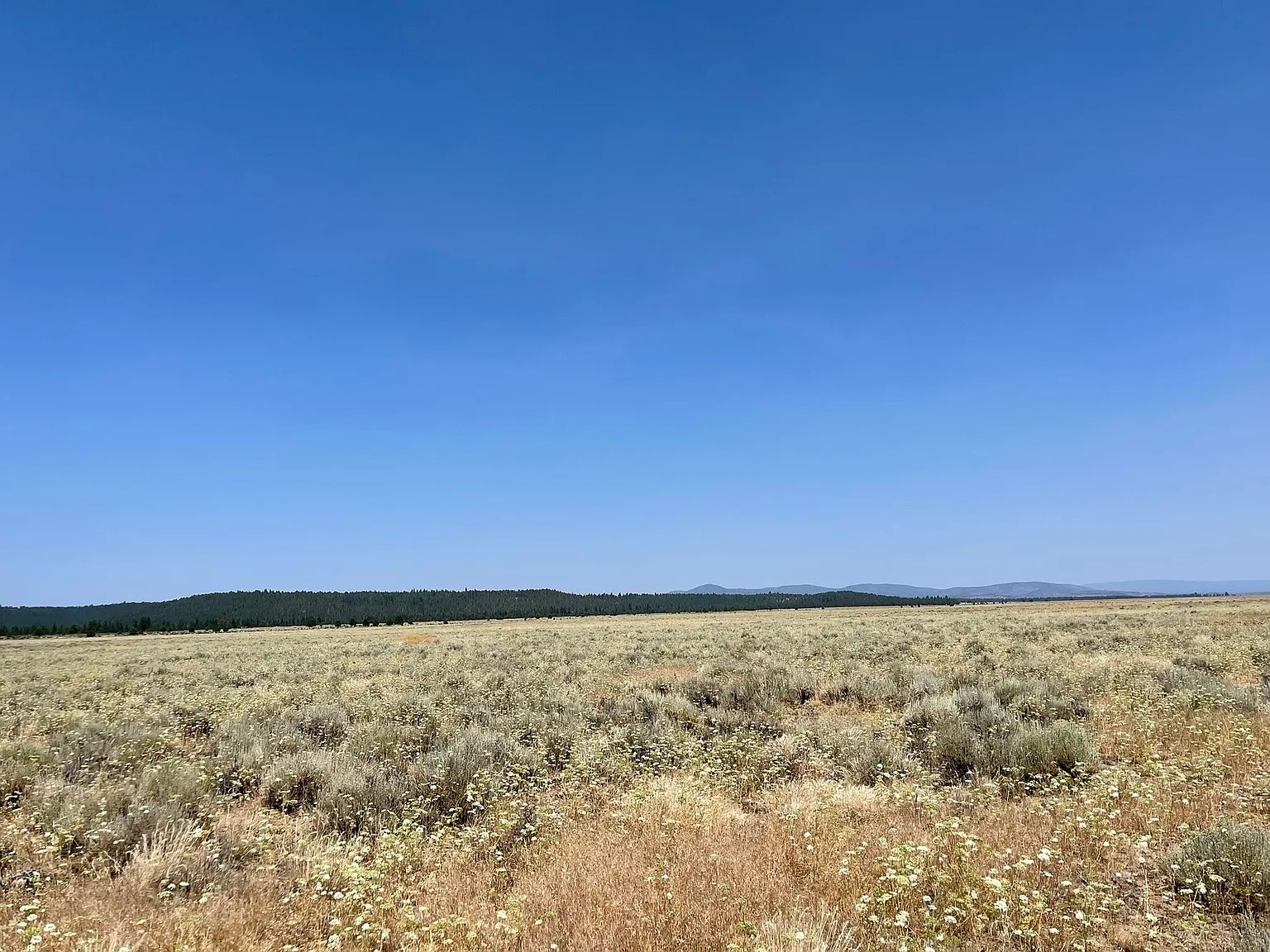 Your Oregon Retreat Awaits 2.5 Acres, Klamath, Oregon R343523 - Image 4