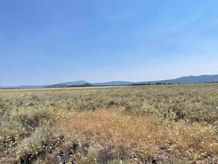 Your Oregon Retreat Awaits 2.5 Acres, Klamath, Oregon R343523 - Image 6