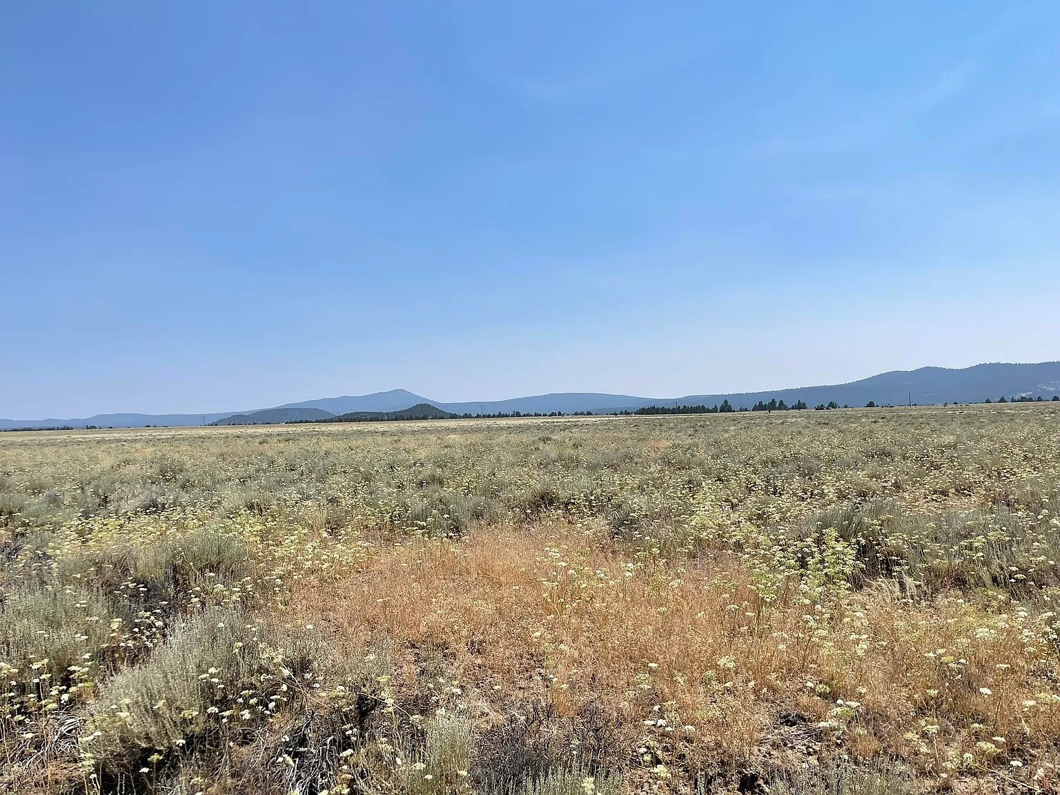 Your Oregon Retreat Awaits 2.5 Acres, Klamath, Oregon R343523 - Image 6