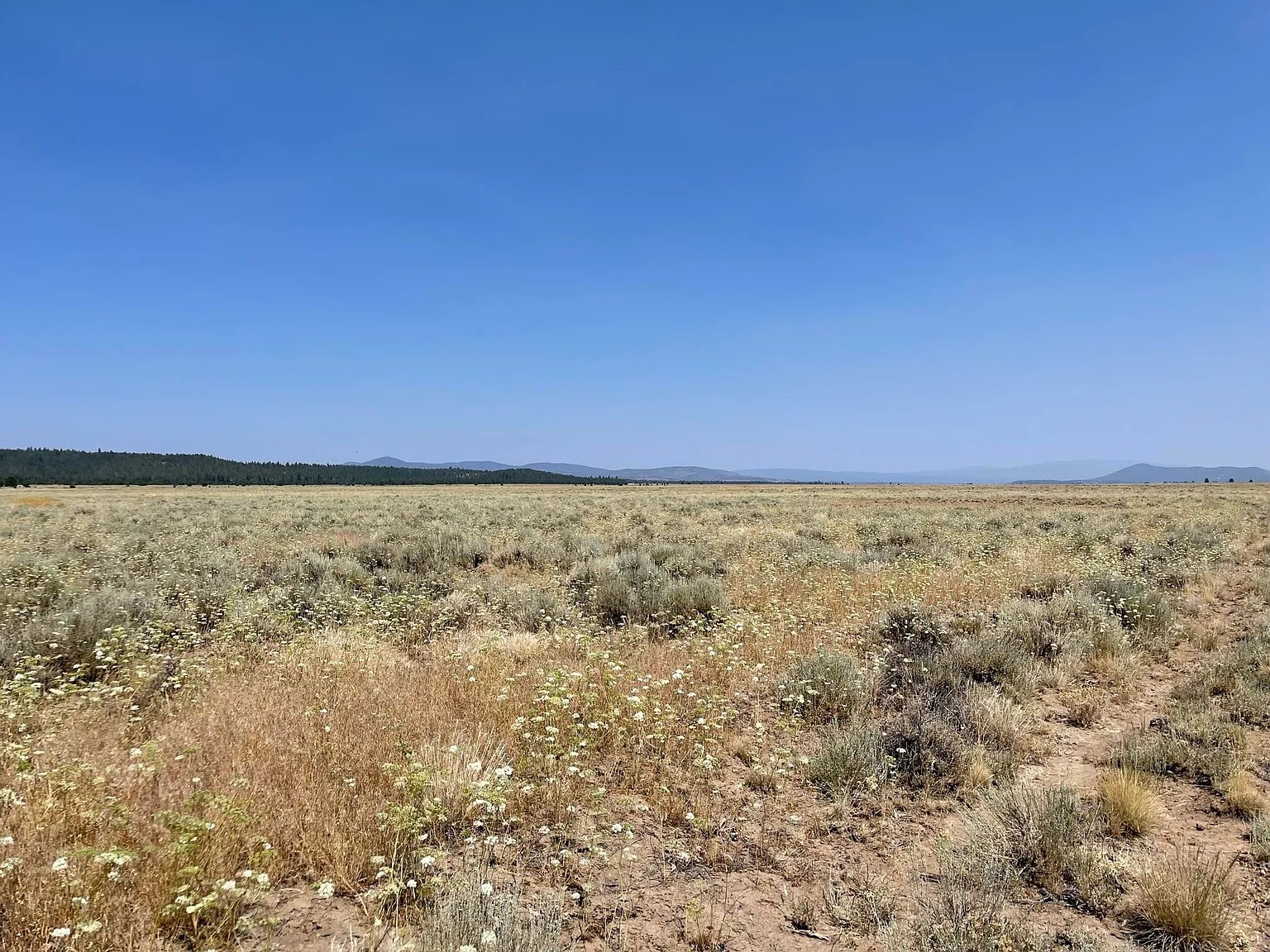 Your Oregon Retreat Awaits 2.5 Acres, Klamath, Oregon R343523 - Image 7