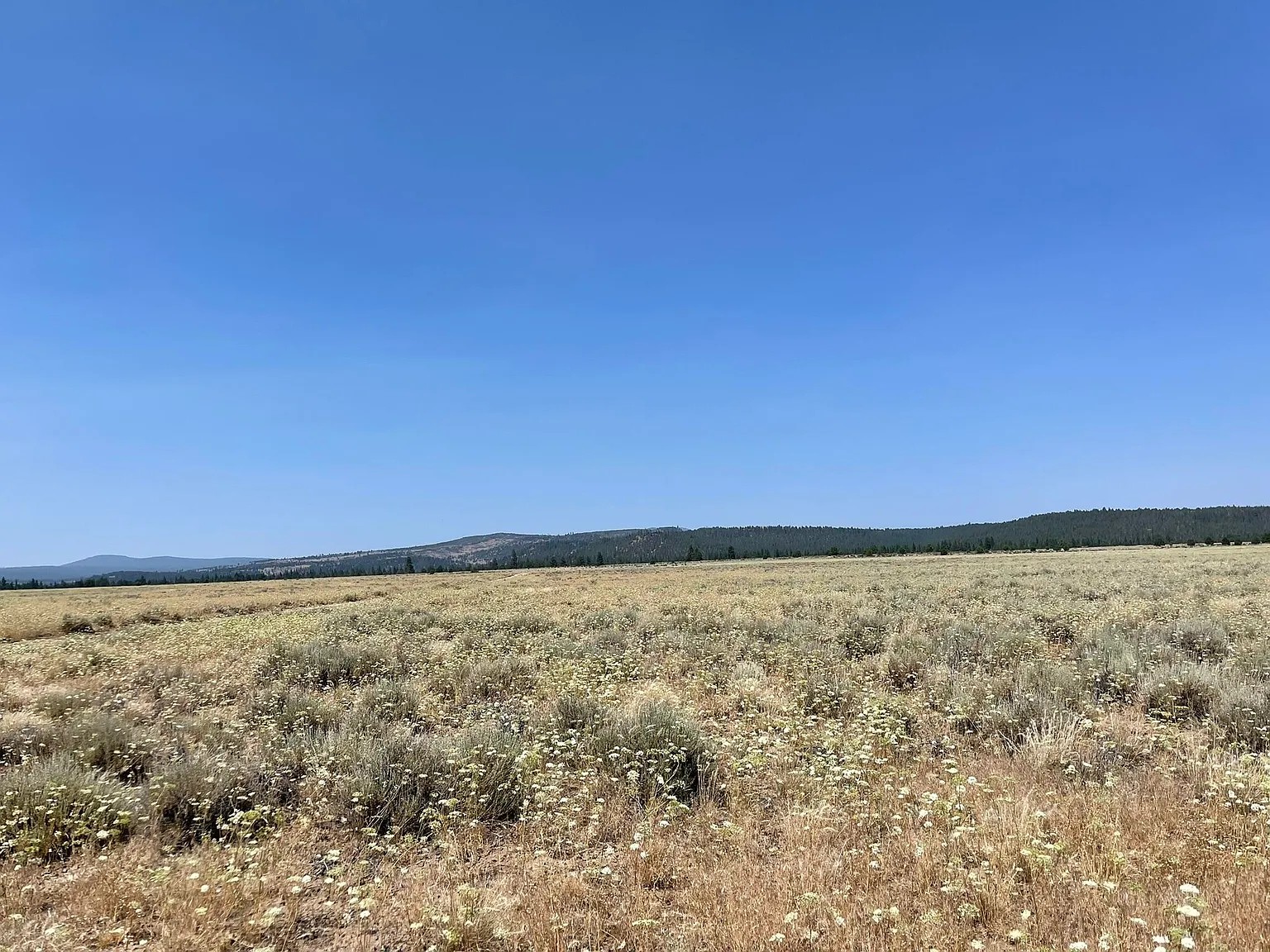 Your Oregon Retreat Awaits 2.5 Acres, Klamath, Oregon R343523 - Image 8