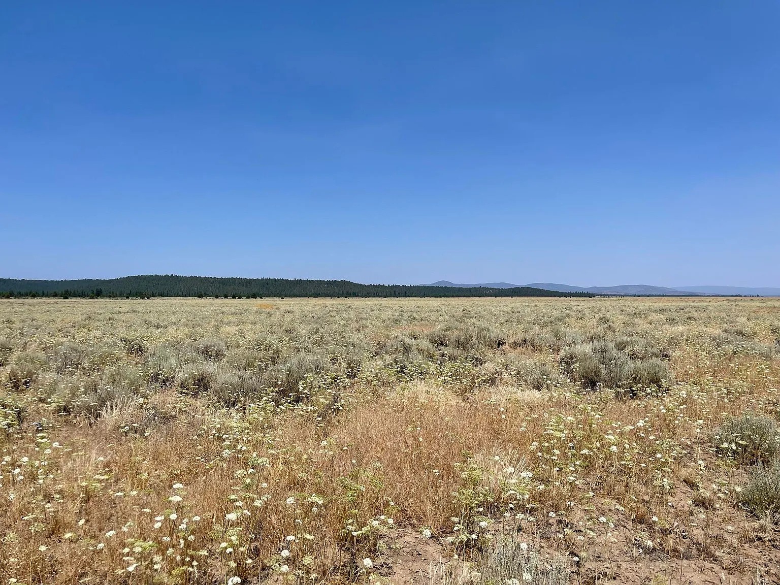 Your Oregon Retreat Awaits 2.5 Acres, Klamath, Oregon R343523 - Image 9