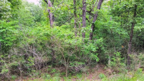 Build Your Dream Retreat 2.84 Acres, Benton, Missouri 15-6.0-14-002-005-042.000