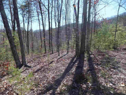 1.44 Acres, Cocke County TN, Your Dream Home Awaits, Parcel 015055 12210