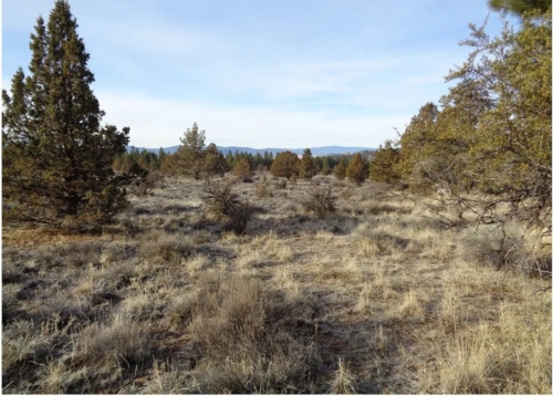 10 Acres, Klamath County OR, Build Your Dream Off-Grid Haven, Parcel R352353