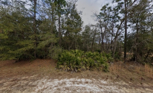 Your Slice of Sunshine Awaits! 0.22 Acres, Putnam, Florida 24-09-24-4075-0220-0190