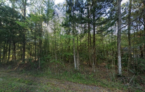Perfect for Your Dream Home! 0.25 Acres, Marion, Florida 2008-011-002