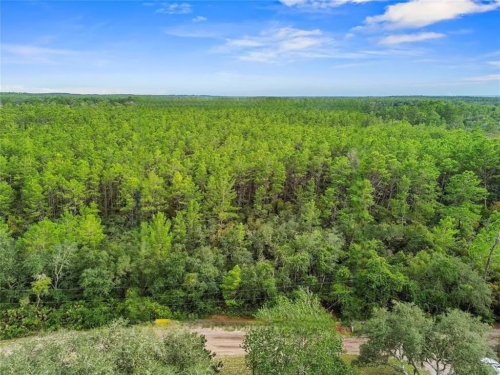 Ideal for Your New Home or Getaway! 0.25 Acres, Marion, Florida 5020-010-007