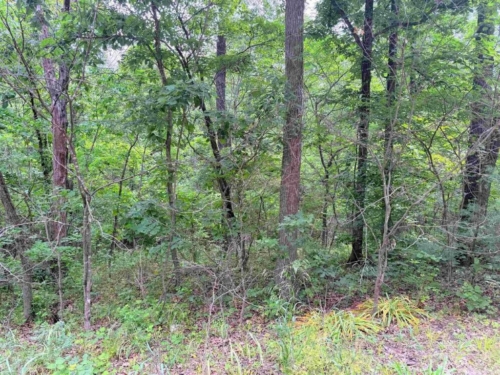 Affordable Freedom Awaits 3.03 Acres, Benton, Missouri 15-5.0-15-000-001-004.000