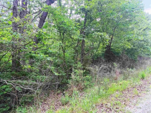 Double the Space, Double the Freedom 5.87 Acres, Benton, Missouri 15-5.0-15-000-001-004.000 and 15-6.0-14-002-005-042.000