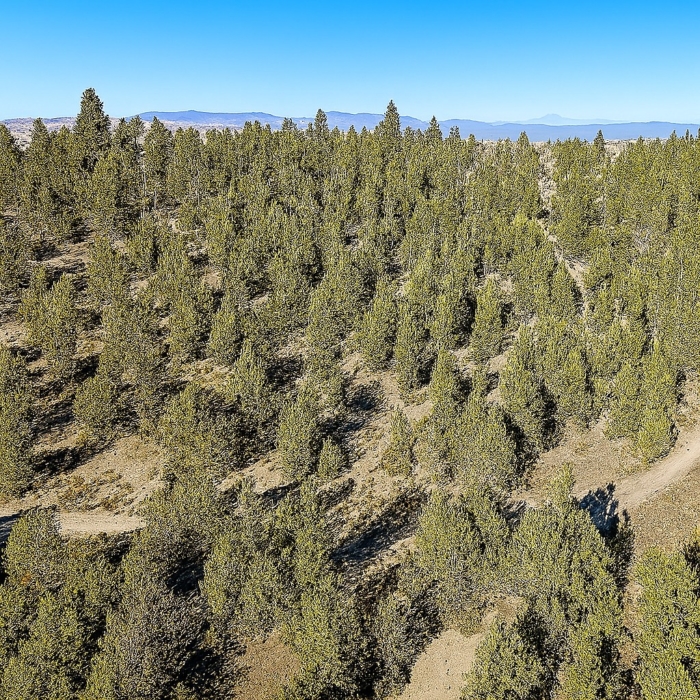 Easy Access, Power Nearby 2.03 Acres, Klamath, Oregon R347075 - Image 7