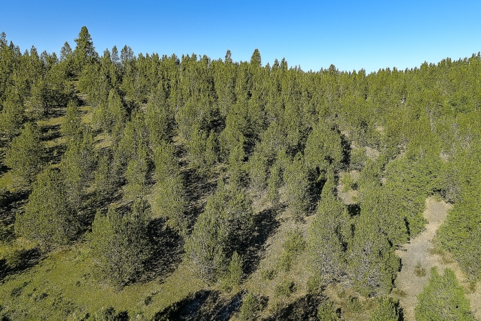 Easy Access, Power Nearby 2.03 Acres, Klamath, Oregon R347075 - Image 8
