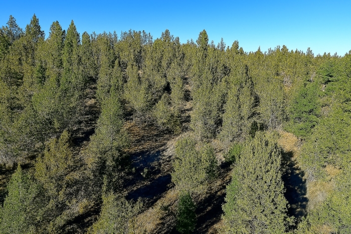 Easy Access, Power Nearby 2.03 Acres, Klamath, Oregon R347075 - Image 9