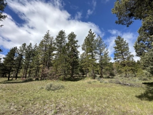 Perfect for Your Homestead 2.75 Acres, Klamath, Oregon R468899
