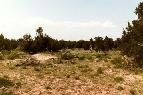 Your Off-Grid Adventure Awaits 4.66 Acres, Apache, Arizona 206-13-174