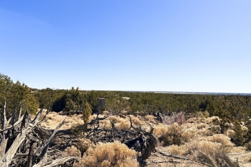 Wide-Open Horizons 4.51 Acres, Apache, Arizona 206-13-176